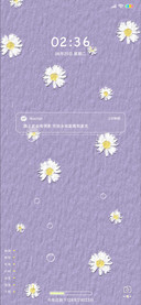 小雏菊吖