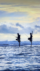 Men Fishing on Stilts