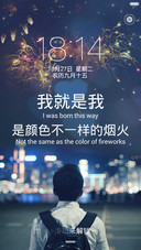 我就是我，是颜色不一样的烟火