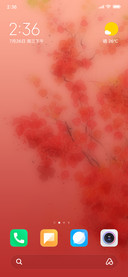 Blossom (JD)