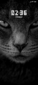 Dark eyes