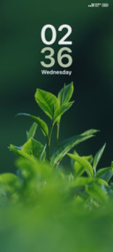 Vietnam Leaves