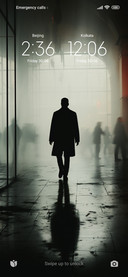 The Lonely Back