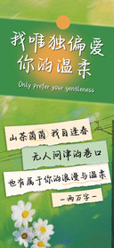 我唯独偏爱你的温柔