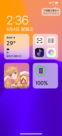 iP14