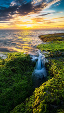 The unique charm of hawaii