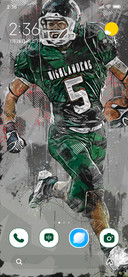 Gridiron Blaze