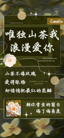 唯独山茶我浪漫爱你