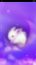 月光兔兔
