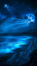 Crazy nature-05