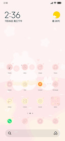 Star Wish Rabbit