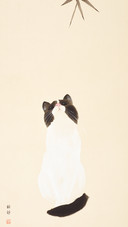 拟人化的猫