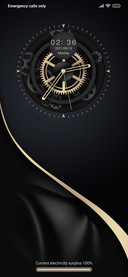 Black gold dial