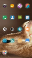 Bunny_DWM19
