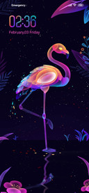 Dazzling Flamingo