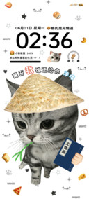ins抽象天赋小猫