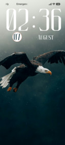 Eagle
