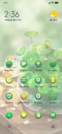 Green+luck