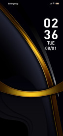 Minimalist black 