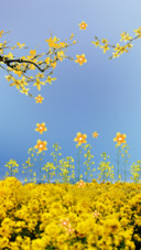 花海