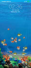 Aquarium and Fish