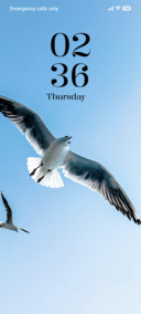 Flying Bird