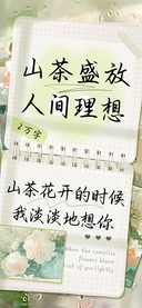 山茶盛放人间理想