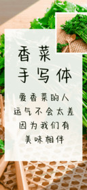 香菜手写体