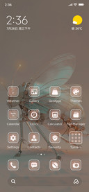 Cyborg insects