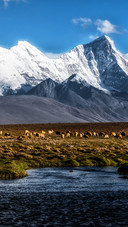 Under the goddess peak