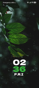 Leaf Blur