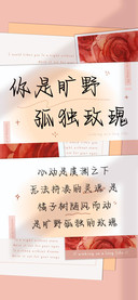 你是旷野孤独玫瑰