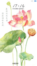 唯美荷花