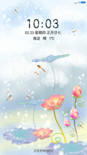 荷之洁