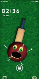 Bounce_Animation_Cricket