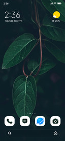 Leaf Serenity