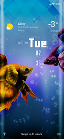 Betta Fish