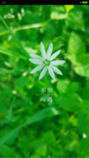 不期而遇（好评抽奖动态）