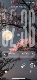 Moon OS