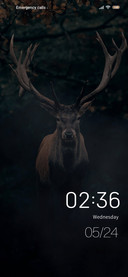 elk