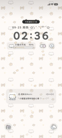 平铺蝴蝶猫咪