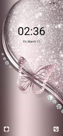 Flash Butterfly