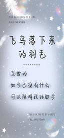 飞鸟落下来的羽毛