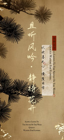 且听风吟静待花开