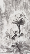 倾听花语