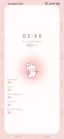 cute bunny