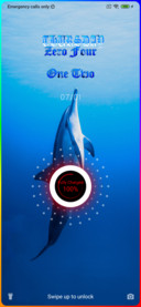 Dolphin Toro