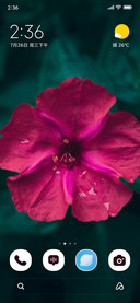 Dew Petals