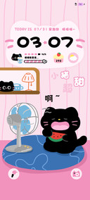 夏日宅家猫