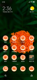 Genda phool_3MDS